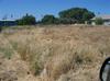  Arnott
 Chowchilla CA 93610
